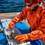 A NOAA Fisheries survey.