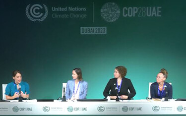 The Rare panel at COP 28.