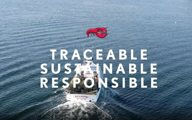 One of Red Lobster's campaign images about its seafood.