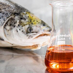 Fish oil with a salmon.