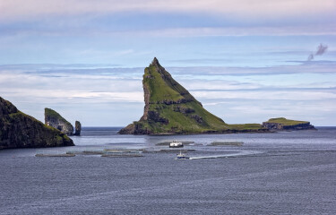 Salmon farming in the Faroe Islands.