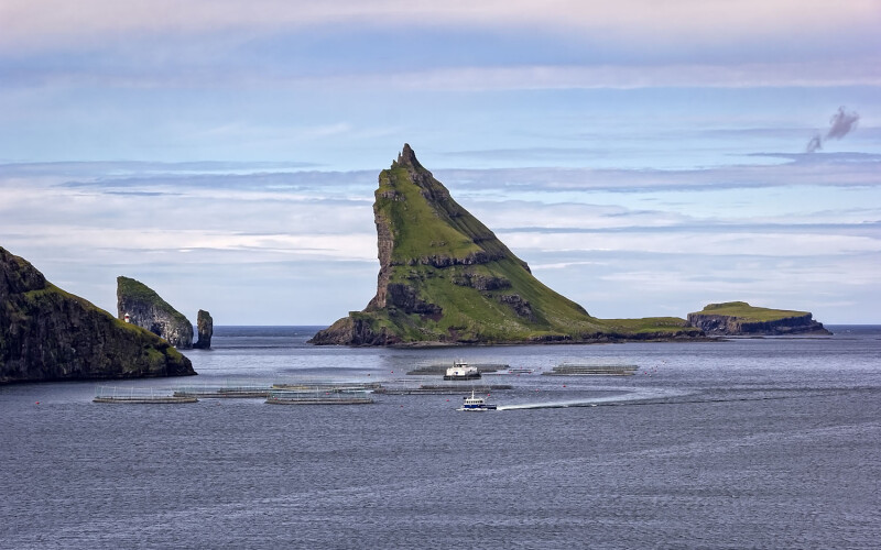 Salmon farming in the Faroe Islands.