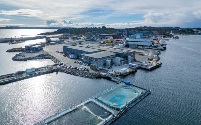 Hardanger Seafood's Langevågen fish-processing location.