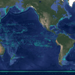 A Global Fishing Watch map.