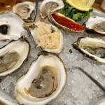 Oysters on the half shell.