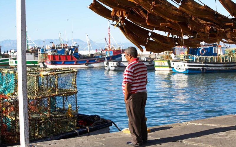 A fisherman in Kalk Bay Harbor, South Africa.