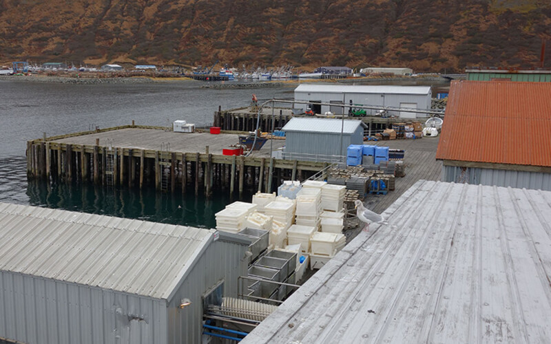 Peter Pan Seafoods' King Cove processing plant.