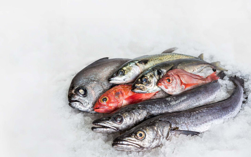 Pile of fish caught in Namibian waters.