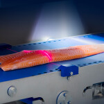 A Marel salmon-processing machine.