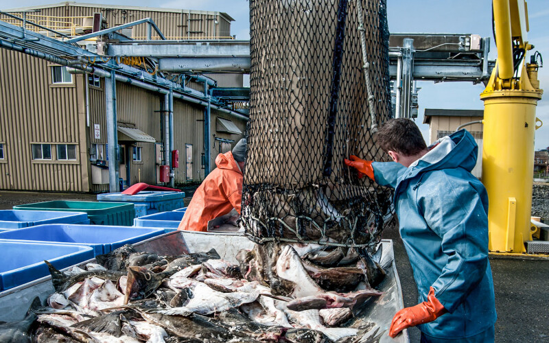 A photo of Alaska fishermen.