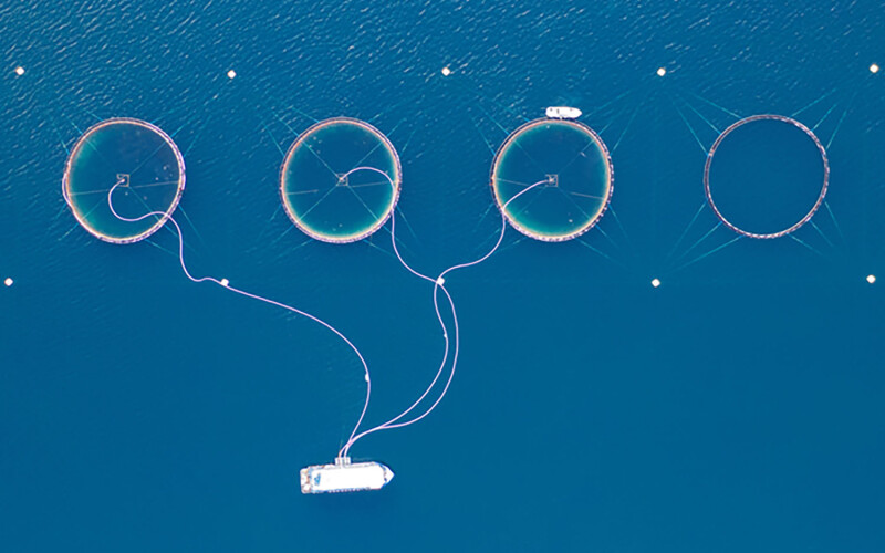 Salmon farm in Norway.