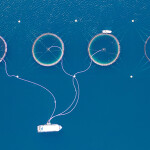 Salmon farm in Norway.