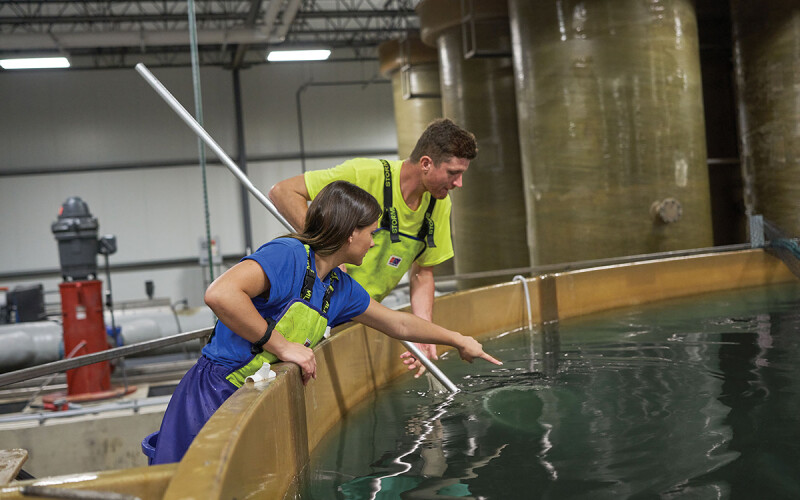 An AquaBounty RAS facility.