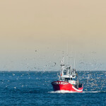 Fishing boat returning to port in Europe.