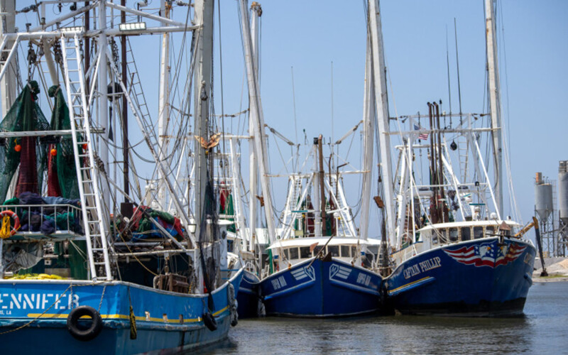 Shrimp trawlers in Port Fourchon, Louisiana.