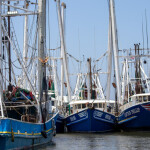 Shrimp trawlers in Port Fourchon, Louisiana.