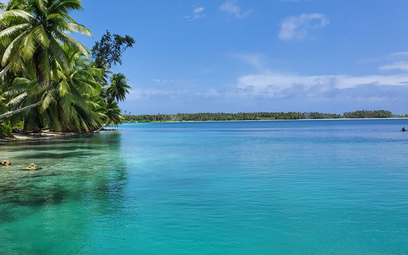 Palmyra Atoll.