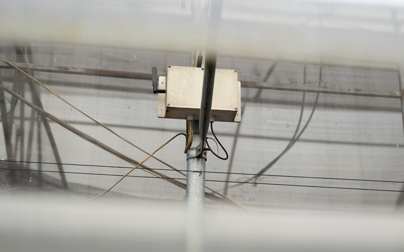 A piece of aquaculture technology.