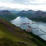 An aerial view of King Cove, Alaska.