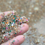 Microplastics found in the ocean.