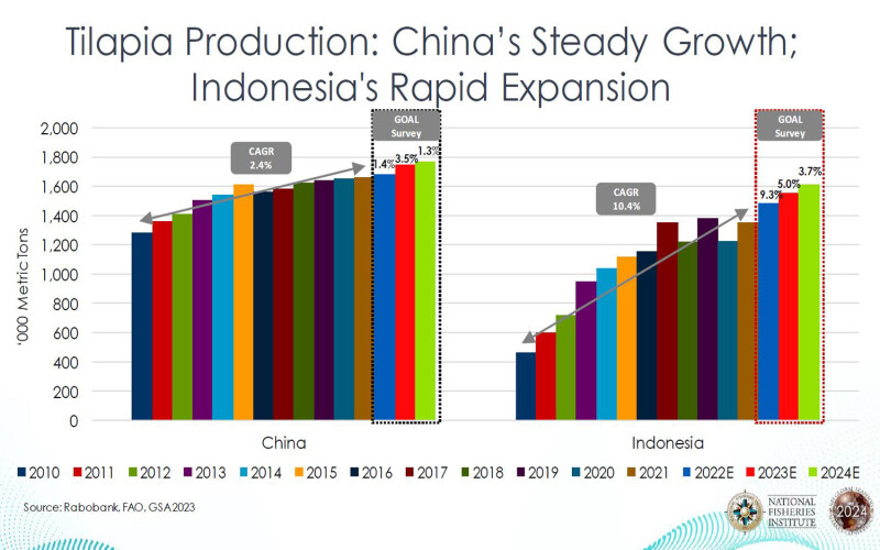 A graph showing the rise in global tilapia production coming in 2024.
