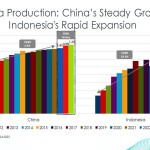 A graph showing the rise in global tilapia production coming in 2024.