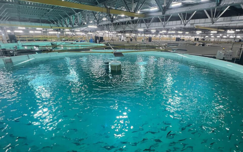 A RAS tank at Proximar's salmon recirculating aquaculture system in Japan.