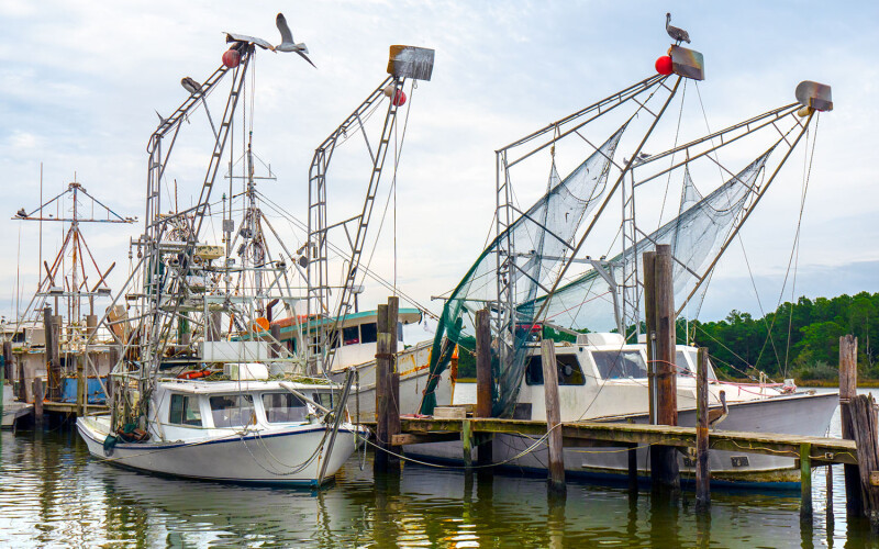 A photo of shrimp vessels in Alabama.