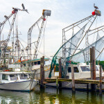 A photo of shrimp vessels in Alabama.