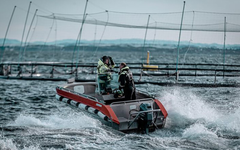 A boat outside of one of Måsøval's salmon net pens.