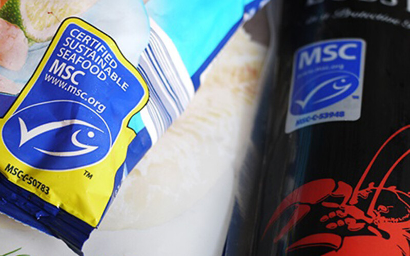Marine Stewardship Council eco-labels on seafood products.