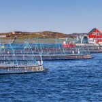A salmon farm in Norway.