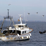Spanish trawler.