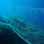 A gillnet placed in the ocean.