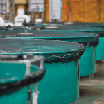 AquaBounty's facility in Albany, Indiana, U.S.A.