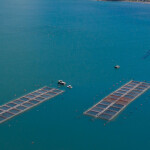 A salmon farm in Chile.
