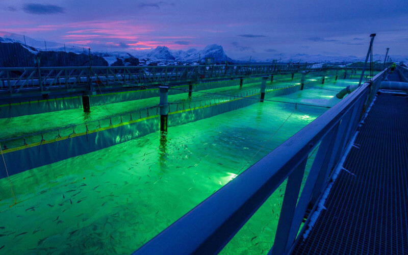 A Gigante Salmon flow-through salmon tank.s.