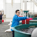 Blue Star Foods employee throwing feed into an RAS.