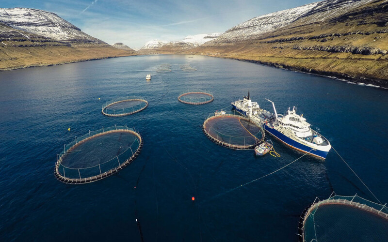 A set of net pens operated by Bakkafrost in a fjord.