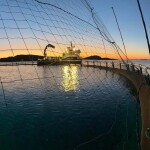 A net pen operated by Norwegian cod farming company Norcod