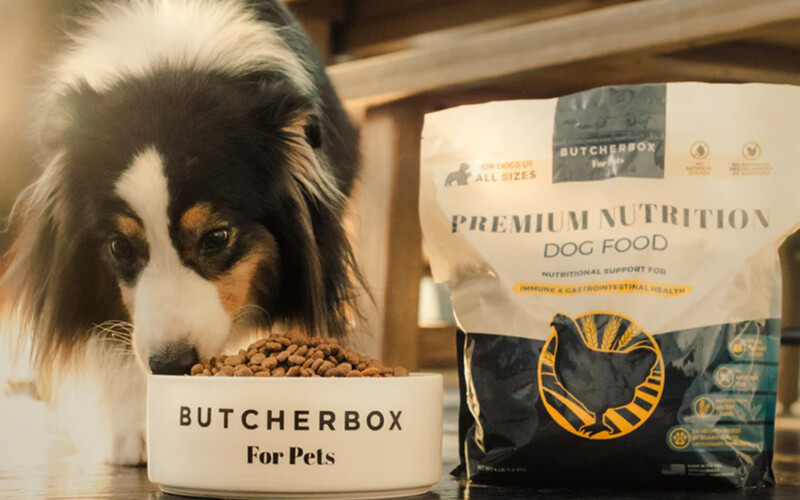 ButcherBox's pet food.