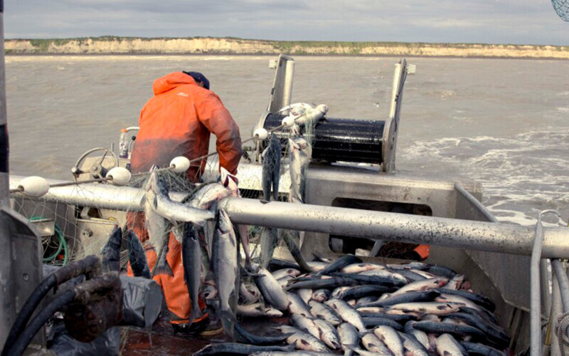 Dutch shipyard Padmos introduces multifunctional fishing “vessel of the  future”