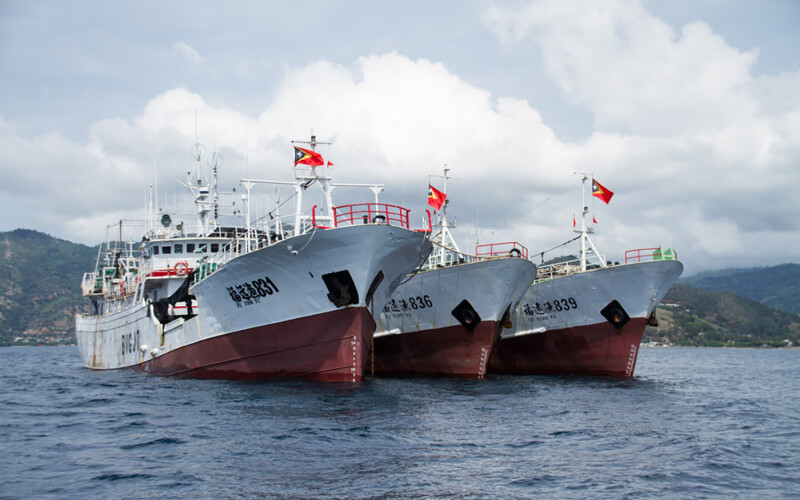 Chinese distant-water vessels in the waters off of Timor Leste