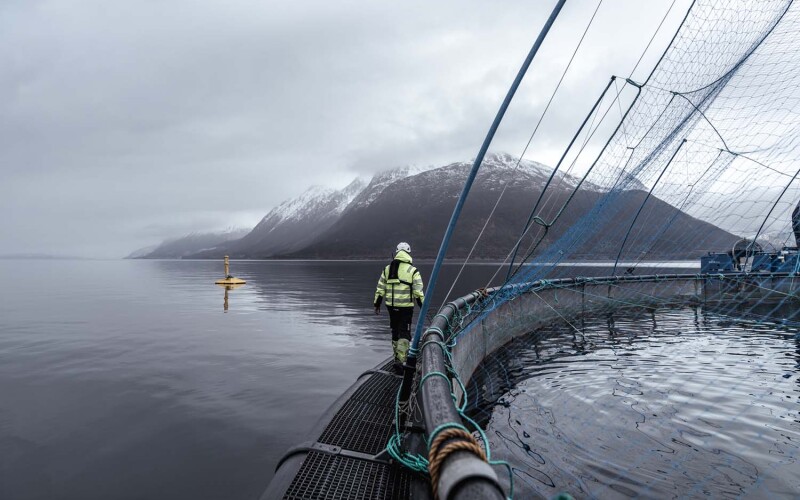A Masoval fish-farming operation in Norway