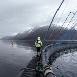 A Masoval fish-farming operation in Norway