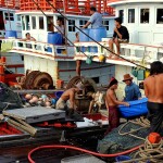 Workers load ice onto fishing vessels in Thailand