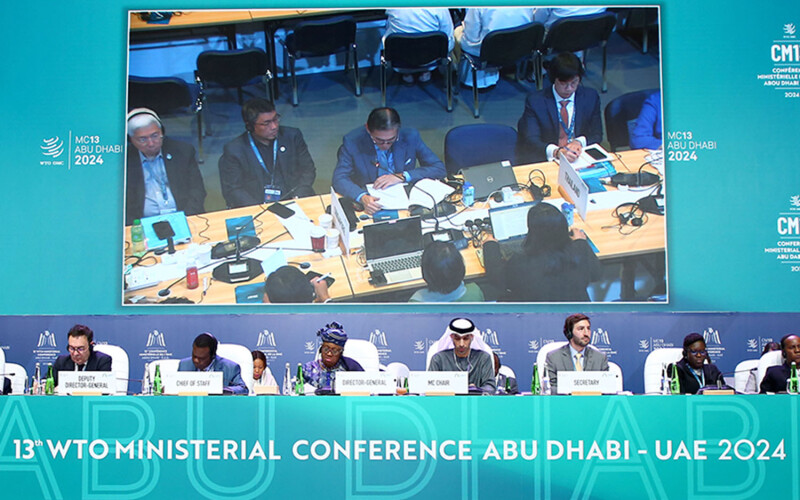 Negotiations on fishery subsidies at the WTO's 13th Ministerial Conference