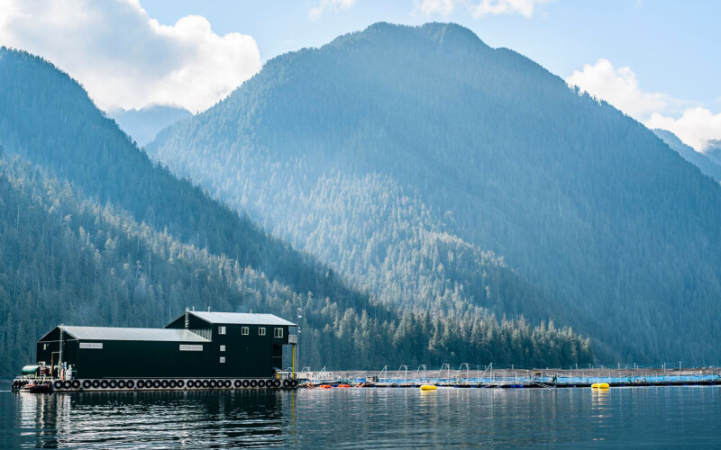 A salmon farm in British Columbia, Canada operated by Cermaq Canada