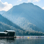 A salmon farm in British Columbia, Canada operated by Cermaq Canada