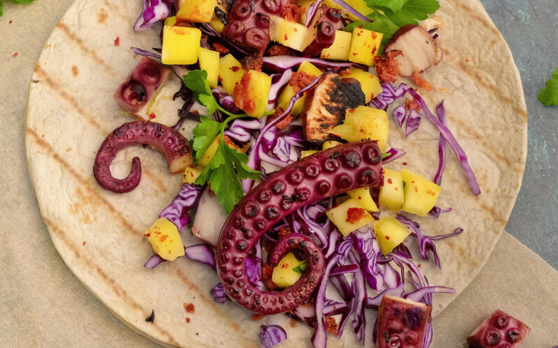 Revo Foods - The KRAKEN octapus analog